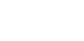 BARONI85